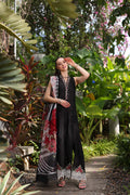 Noor by Saadia Asad | Luxury Chikankari Lawn24 | D6-A Black Laser by Designer Noor by Saadia Asad - House of Maryam - Pakistani Designer Ethnic Wear in {{ shop.shopifyCountryName }}