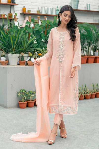 Jeem | Luxury Pret | STRIKING PEACH by Designer Jeem - House of Maryam - Pakistani Designer Ethnic Wear in {{ shop.shopifyCountryName }}