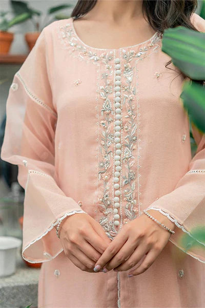 Jeem | Luxury Pret | STRIKING PEACH by Designer Jeem - House of Maryam - Pakistani Designer Ethnic Wear in {{ shop.shopifyCountryName }}