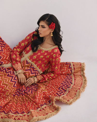 The Pink Tree Company | Dhanak Chamak Eid Edit | Taranj-Brand:The Pink Tree Company-Type:Ladies Clothes-Rust - House of Maryam- Buy in UK, USA
