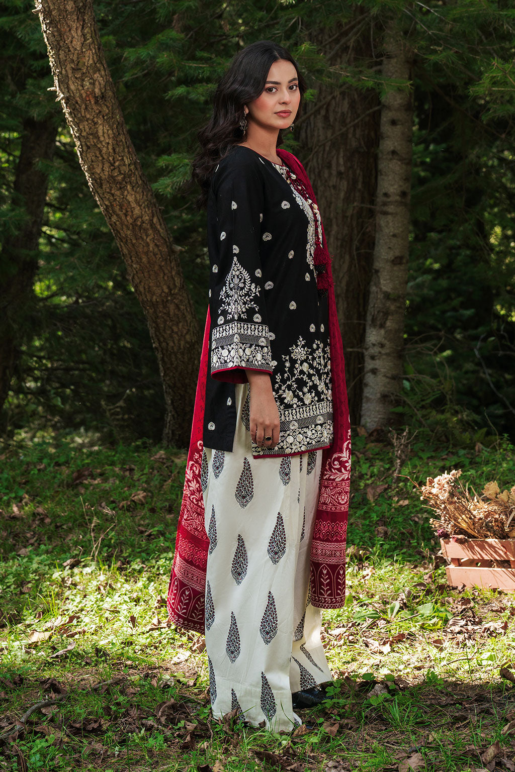 Afsanah | Silent in the Pine Tale | AL-108, image 4