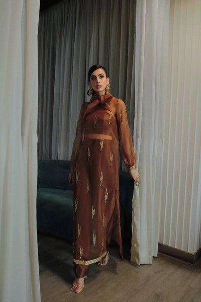 Saira Rizwan | Riona Luxury Formals | Coco  A -  Saira Rizwan Formal - Original Designer Dress - House of Maryam