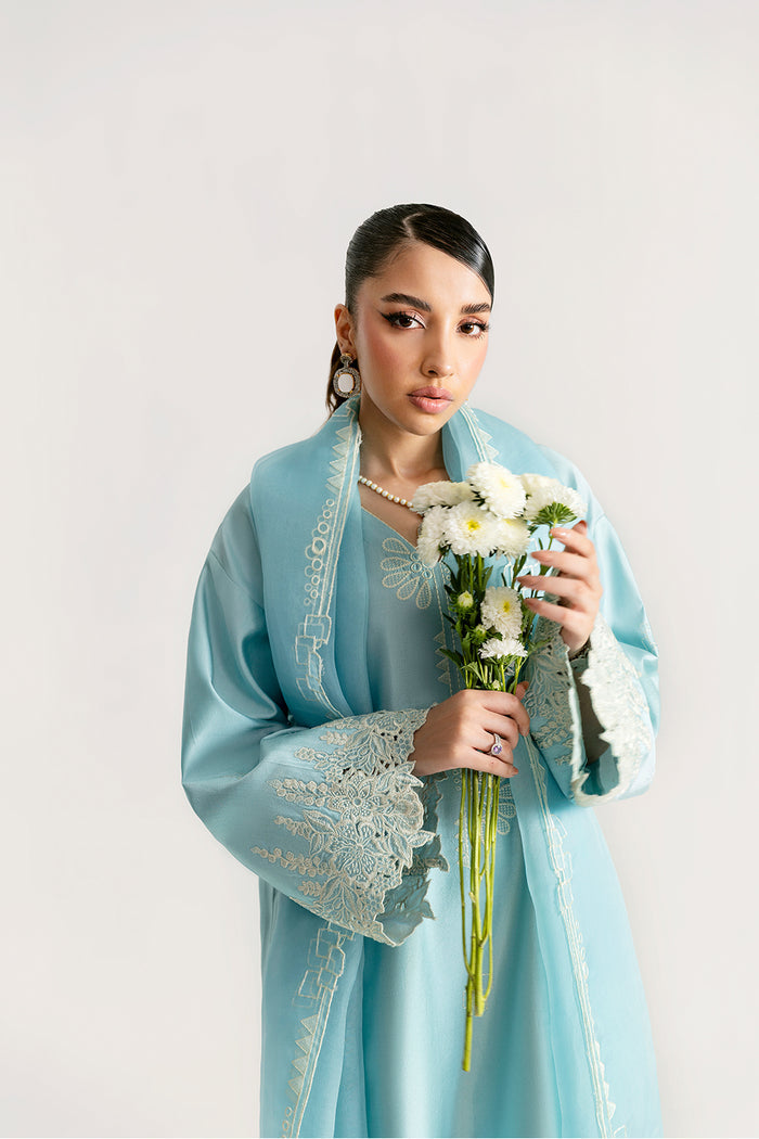 Saira Rizwan | Silk Pret 25 | NERIAH, image 4