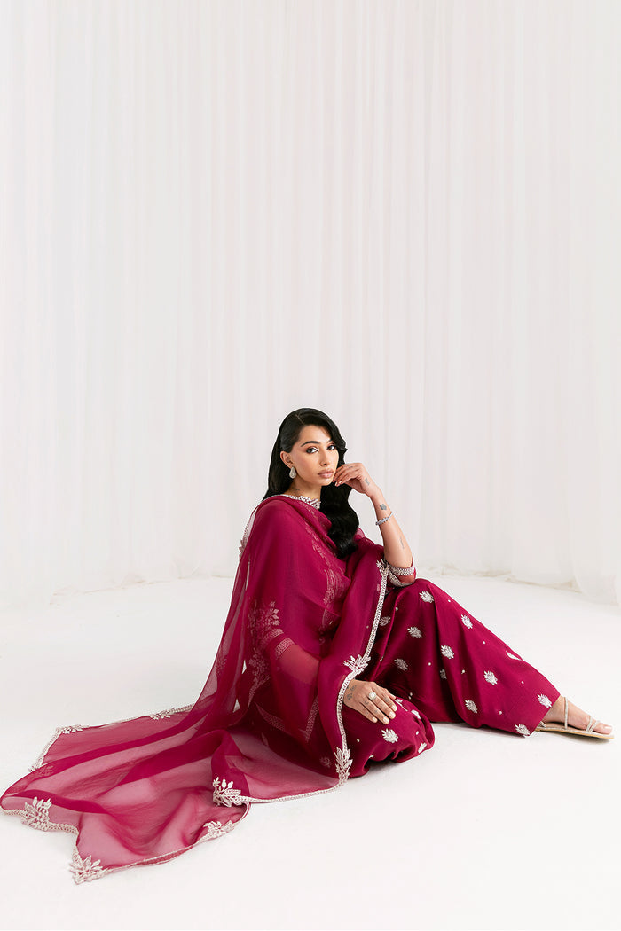 Saira Rizwan | Silk Pret 25 | ANERA, image 4