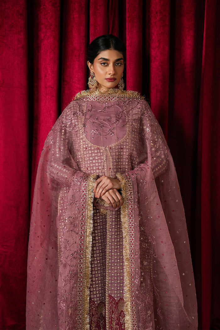 Ayzel | Qurbat Silk Festive 26 | Humnishin, image 4
