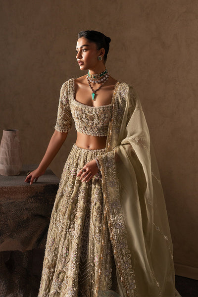 Afrozeh | The Brides Edit 26' | Evline