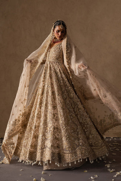 Afrozeh | The Brides Edit 26' | Catarine