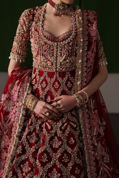 Afrozeh | The Brides Edit 26' | Rosaline