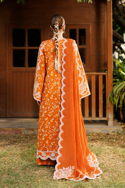 Afrozeh Elyora rust embroidered lawn suit, photo 2