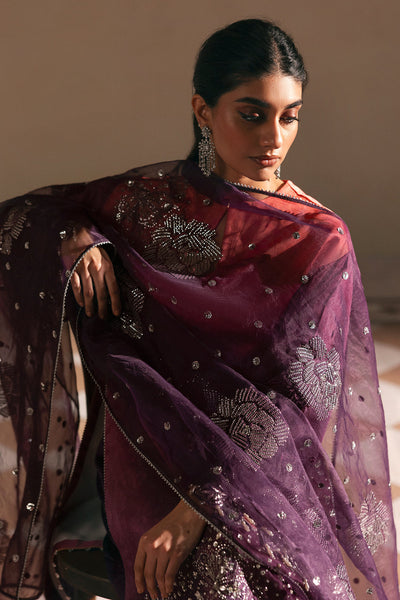 Afrozeh | Silk Muse 26 | Brumal