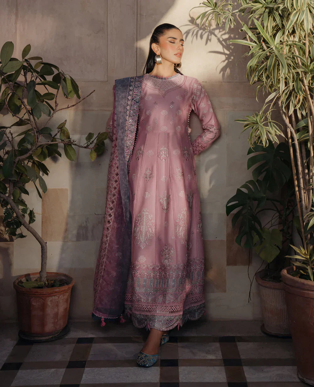 Xenia Formals | Lawn Collection 24 | Tazim