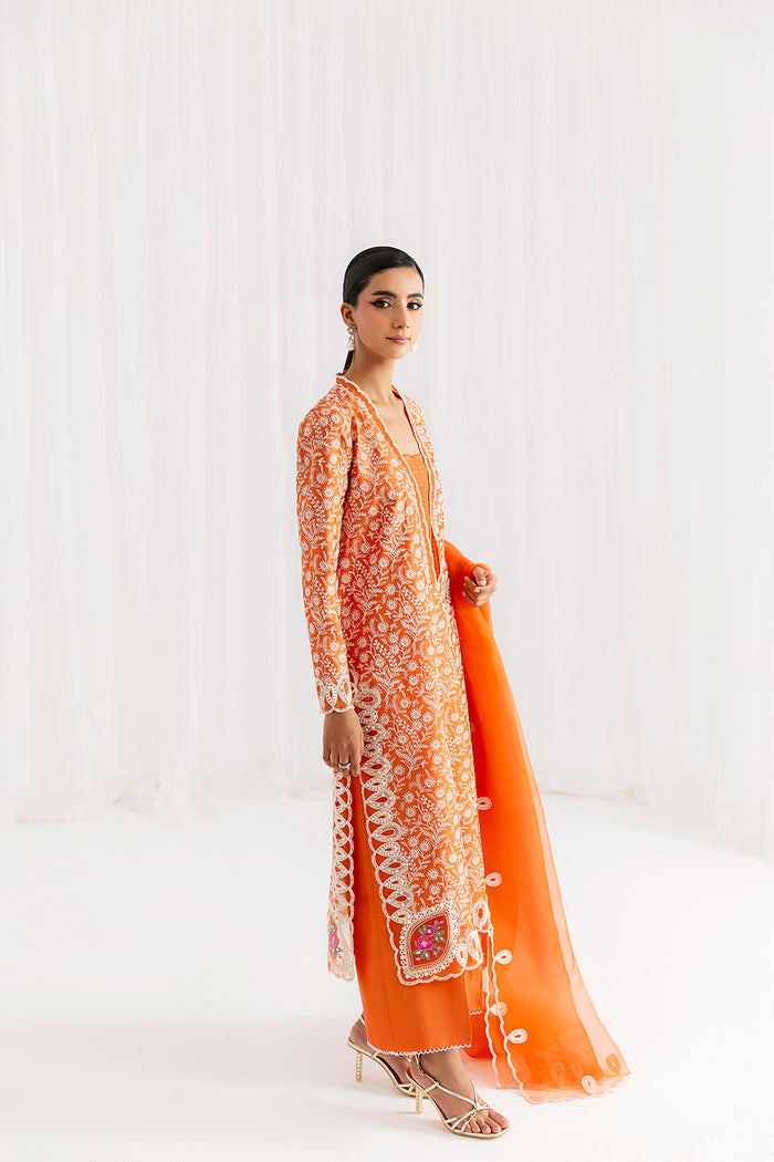 Saira Rizwan | Silk Pret 25 | EIRA, image 3