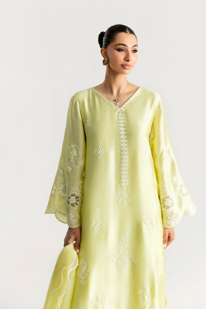 Saira Rizwan | Silk Pret 25 | SAHARA, image 3