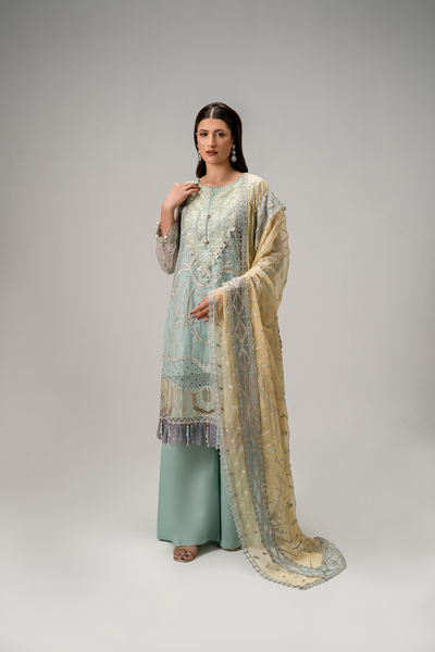 Zebtan | Aura Formals | AR-08 -  Zebtan Ladies Clothes - Original Designer Dress - House of Maryam
