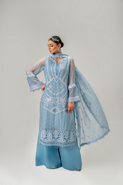 Zebtan | Aura Formals | AR-04 -  Zebtan Ladies Clothes - Original Designer Dress - House of Maryam