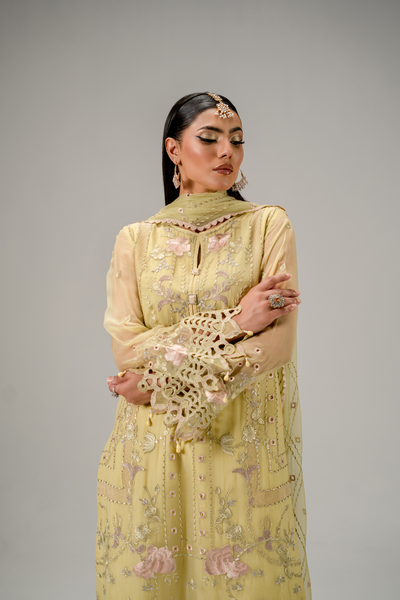 Zebtan | Aura Formals | AR-03 -  Zebtan Ladies Clothes - Original Designer Dress - House of Maryam
