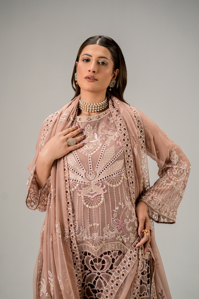 Zebtan | Aura Formals | AR-06 -  Zebtan Ladies Clothes - Original Designer Dress - House of Maryam