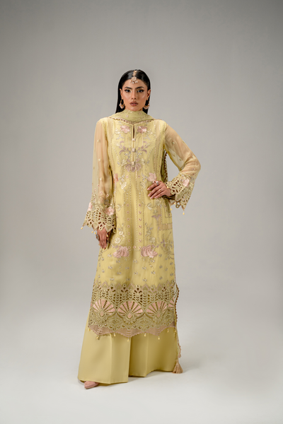 Zebtan | Aura Formals | AR-03 -  Zebtan Ladies Clothes - Original Designer Dress - House of Maryam